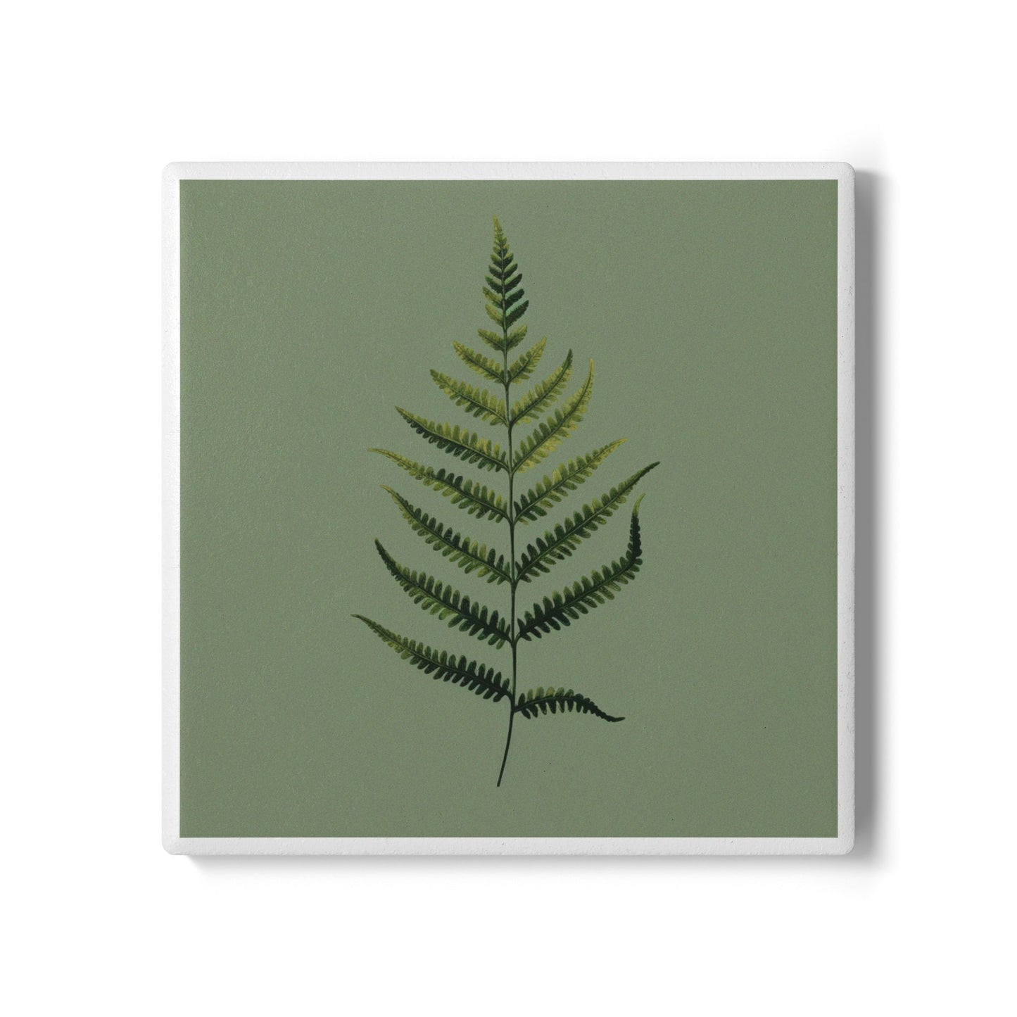 Fern & Form Ceramic Coaster – Nature’s Quiet Statement 🌿🧘