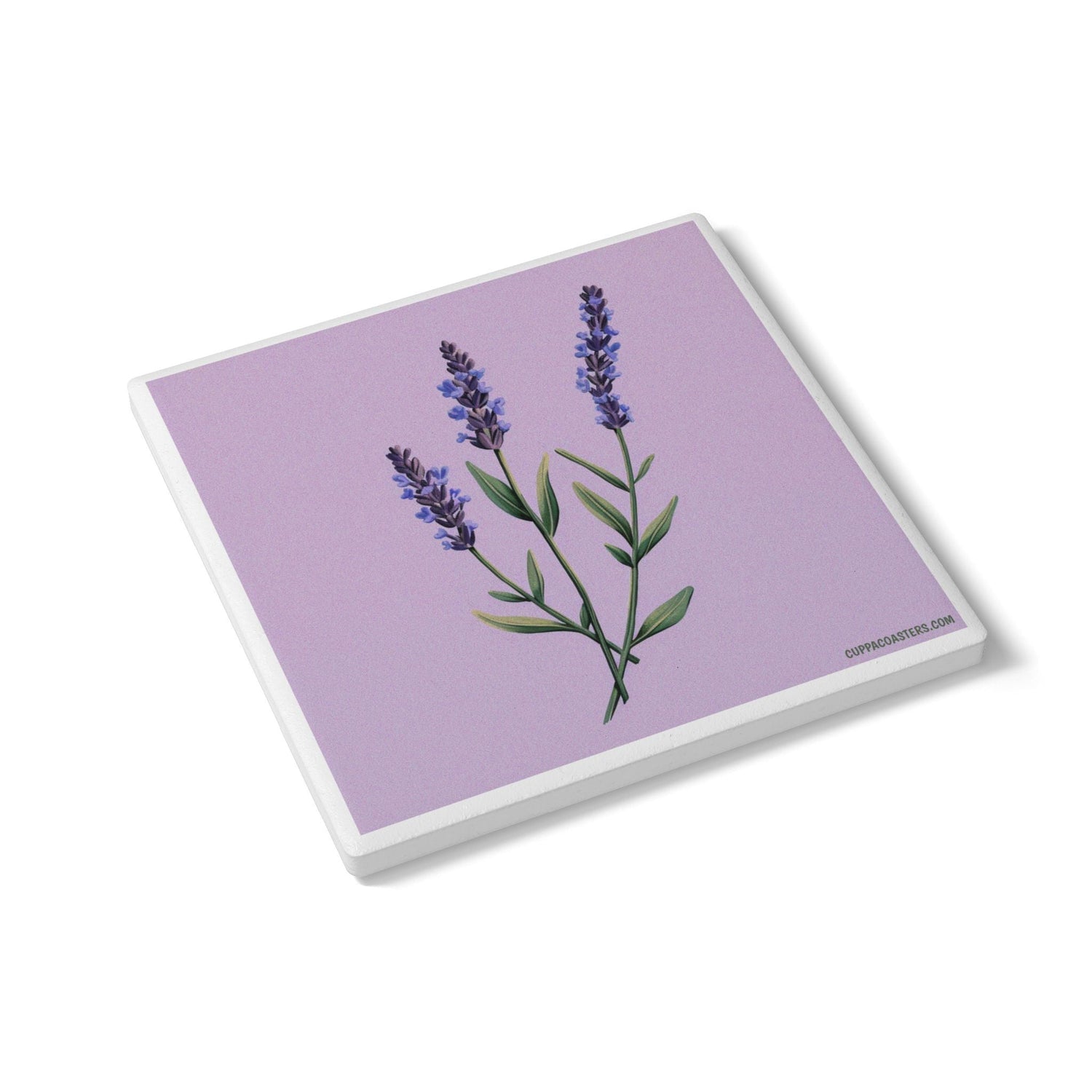 Floral & Botanical