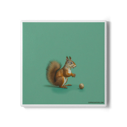 Nutty Buddy Ceramic Coaster – Woodland Whimsy Edition 🐿️🌳