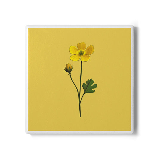 Build Me Up Buttercup Ceramic Drinks Coaster – Floral Art Décor
